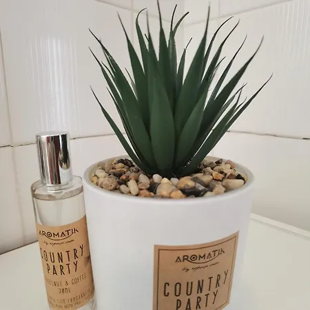 Апартаменты Rocha Concorde Vista Mar